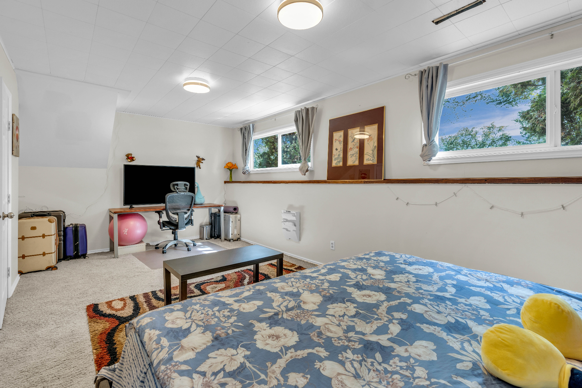 Taylor街地下室超大房间出租 - 2